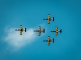 Aero L-39C Albatros
